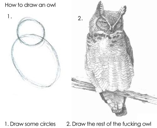 How to draw an owl: 1. Draw some circles 2. Draw the rest of the fucking owl